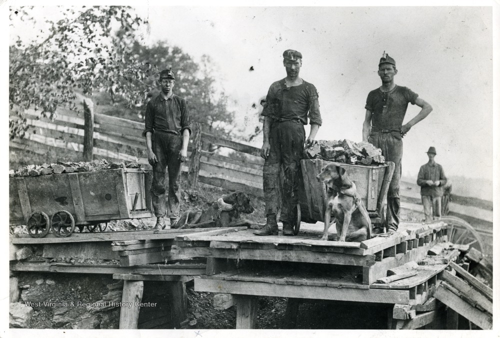 Two dogs harnessed to coal carts. About 1890, Ohio Coal Mine. This photograph is the property of Pittsburgh Consolidation Coal Co. 