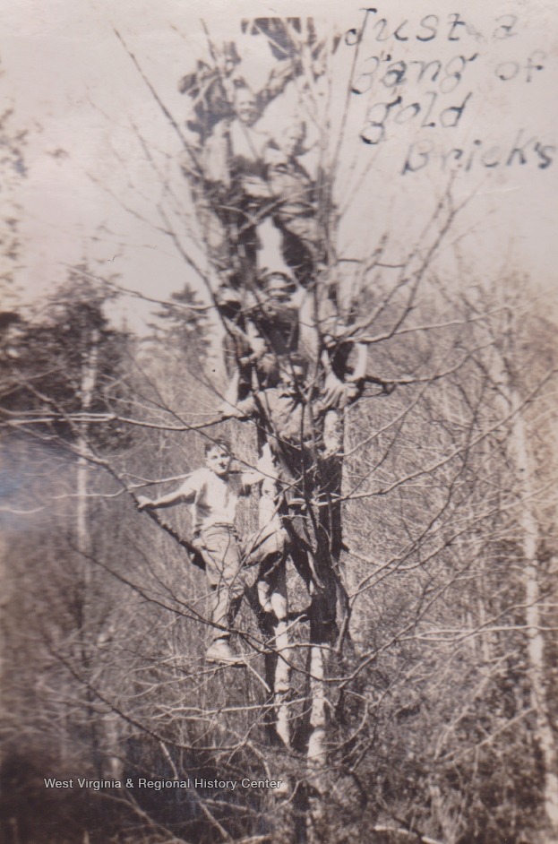 Camp Cranberry, Company 525 F-13 was part of the Civilian Conservation Corps efforts between 1933 and 1942. Enrollees were assigned forestry service jobs as well as road construction jobs and telephone line building. The camp was named after the nearby Cranberry River. 