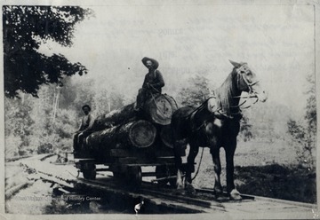 Men with logs on horse-drawn log tram. O. Homer Floyd Fansler, Hendricks, WV