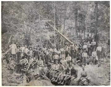 Group Portrait of Large Lumbering Crew in Woods.