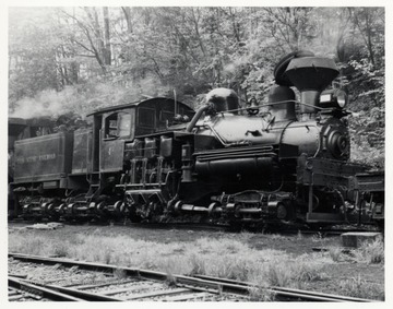 Train engine on tracks in the forest; Cass Scenic R.R.; Cass, WV; Bagdon.
