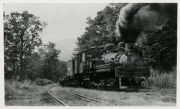 Side view of train engine beside forest. 