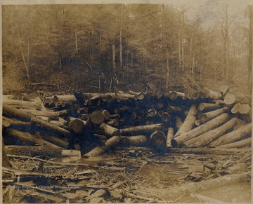 Two crew members pose on top of log pile in water; Pardee and Curtin Lumber Company.