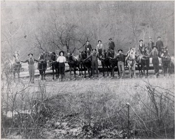 Logging crew poses with horses.