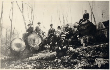 The Raine brothers were owners of a logging company in Rainelle, W.Va., Greenbrier County.