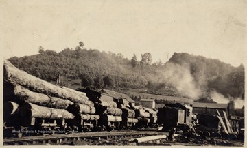 Logs to be unloaded, in the pond of the Ranwood Lumber Company, at Pickens, W.Va.