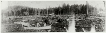Stumps and logs of a cleared out area.  Camp and log train in background.