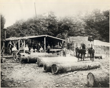 Circular Stream Saw Mill on Harper Anderson Place- 1 mile east of Lobelia, Pocahontas County, W.V.  Product was blanks for Barrel Stands.  Property owned  by Peter M. Hauer in 1975.