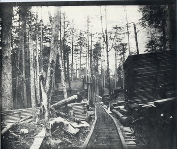 Lumber piles beside a train track.  Man sitting on top of one lumber pile.  Original from Homer Floyd Fansler, Hendricks, W.Va. 