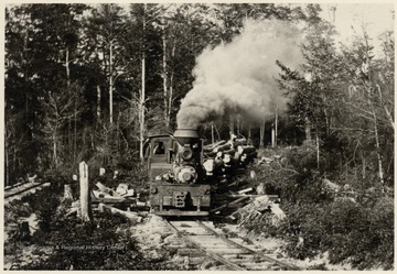 Train engine going around a bend while pulling logs.