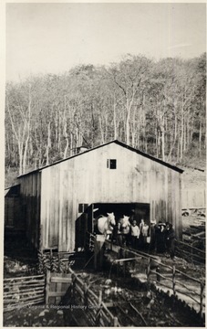 Teamsters and family posing with horses at logging camp barn.