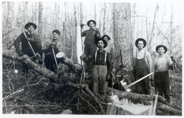 Group portrait of loggers and their equipment in the woods.