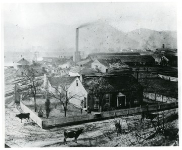 Salt works buildings and salt workers. Cows visible in the foreground.