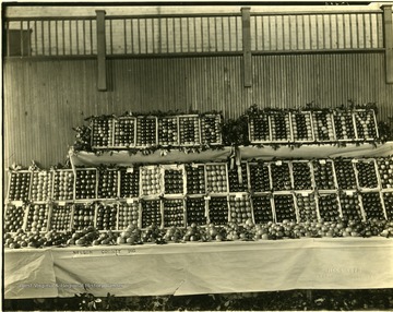 A fruit stand full of apples in Nelson County, Virginia.  Compliments of the Nelson County Horticultural Society, Lovingston, Va. Sent to Russell T. Gist by John B. Whitehead Jr., Lovingston, Va.