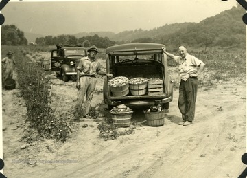 Paul Pancake and his Farm Superintendent standing next to baskets of vegetables in the back of a car. 
