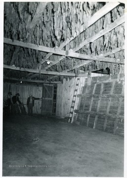 Interior of the barn where tobacco housed. The stripping room is located in the back right of the picture. Note the two poles placed close together extending from the right through the center of the picture.  This is a two foot wide ventilation opening in which no tobacco is hung, and which extends through the barn lengthwise.