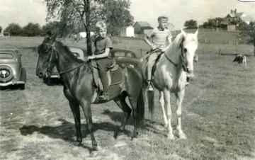 Sons of Thomas B. White, Bridgeport, and their riding horses. 