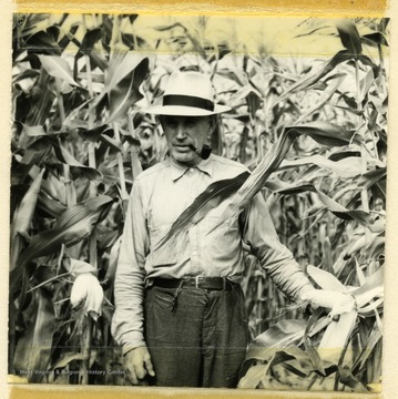 Candid portrait of C.C. Herron, the conservation farmer of the year 1949, in his Hancock County cornfield.