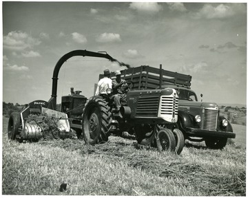 Crop Harvester demonstration on Dairy Day. This was the newest thing in harvesting silage.