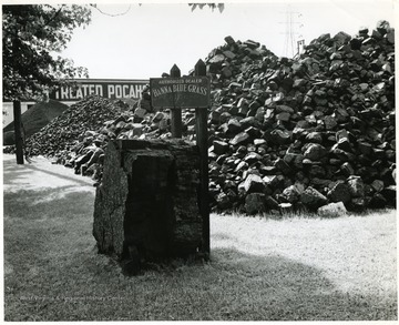 Piles of coal in various sizes.  In front reads a sign 'Authorized Dealer, Hanna Blue Grass, Kentucky Coal' next to a very large chunk of coal.