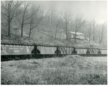 Picture of train cars filled with coal at the Oakwood Mine, Fayette County, W. Va.