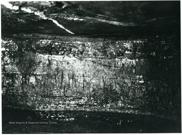 'All white oak mines work the same seam of coal, viz: Sewall. THe face of one of the working places or rooms is shown in this picture. The coal averages about 48 to 50 inches in thickness. This working place is now ready to be cut by the undercutting machine, so it can be shot down be the miner and loaded into cars for transportation to the tipple. The white line on the roof in this picture is the center line of the room set by the engineers to guide the men operating the mining machine in driving the room straight.'