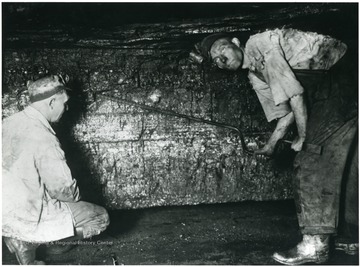 'White Oak preparation begins when the machine leaves and the miner is ready to shoot down his coal. The shooting inspector on the left has not only located the hole for the miner to drill, but instructed him as to what angle he must bore his hole to contain the necessary explosive used in dislodging the coal from the seam. The "kerf" made by cutting machine is plainly visible in this picture and you will note the cutting or "bug dust" have been removed before the coal is shot. The length of the auger used by the miner and the width of the bit which determines the size of the hole bored, is also carefully regulated.'