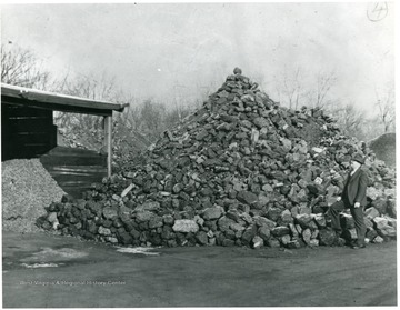 Man examines White Oak coal after delivery in the dealers yard in Indianapolis.