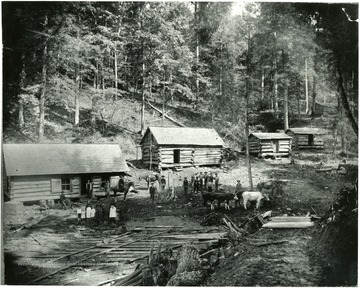 Very early miner's homes, log buildings close to a forest.