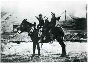 Pennsylvania coal miner boys posing on mule. 'This photoprint is issued by the State Historical Society with the understanding that it is for one time use only, if additional written permission is obtained. It may not be sold or redistributed, copied for resale or distribution as a photoprint, used as agency stock, or used in any other enterprise. It may not be transferred into other hands nor to another combination of interests for republication. Refer requests for use back to the Society, citing negative number if shown. Credit to State Historical Society of Wisconsin.'