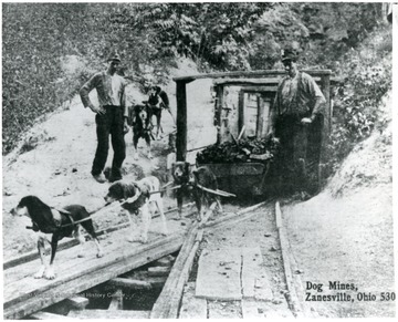Two miners watching dogs haul loads of coal.