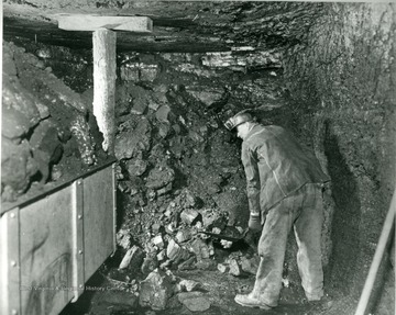 A miner shovels coal into cart for removal from mine.