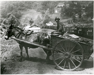 A miner drives a horse drawn cart filled with coal.