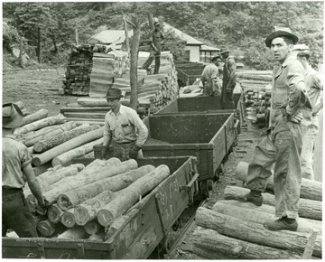 Men haul logs from tram cars.