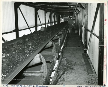A miner standing near a raw coal conveyor belt.