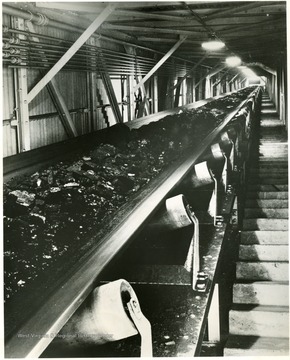 'This enclosed raw coal conveyor belt starts the coal on its journey through the Georgetown Preparation Belt. The belt is 641 feet long and moves at a speed of just above 10 miles per hour. The coal is taken to the top of the plant, where it is given a preliminary sorting by size and then sent through one of the three cleaning circuits incorporated in the preparation system.'