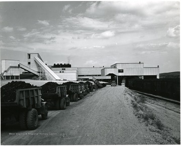 Dump trucks lined up to dump coal for processing through the plant.