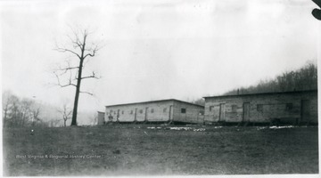 A lone tree stands in front of two barracks in Downs, West Virginia.