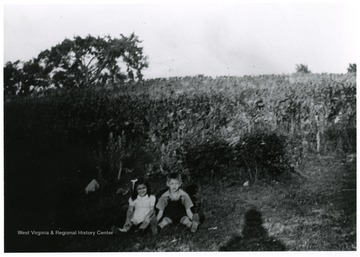Two children sit on the outskirts of a garden.