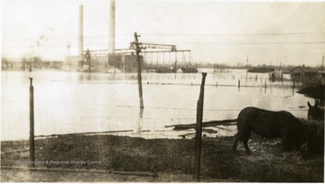 Muddy power plant under water with horses in the foreground of the picture.