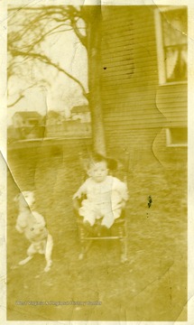 Small Boy sitting in a rocking chair.  Dog standing on legs beside boy. 