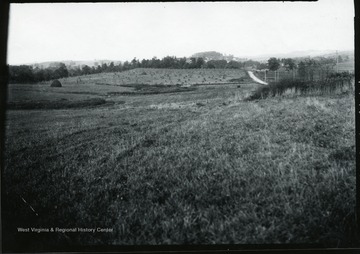 Hayfield next to a road at Arthurdale.