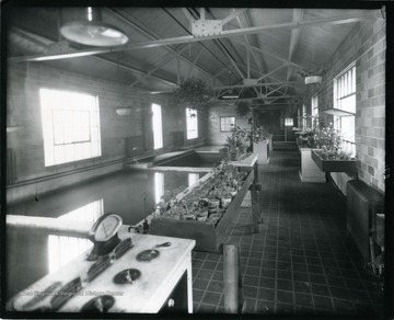 The interior of the City Pump Station with many plants on tables and in the windows in Grafton, West Virginia.