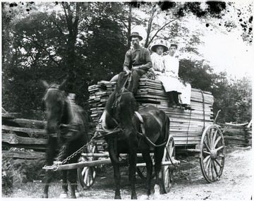 A man drives the wagon of lumber while two ladies sit on the pile with him.