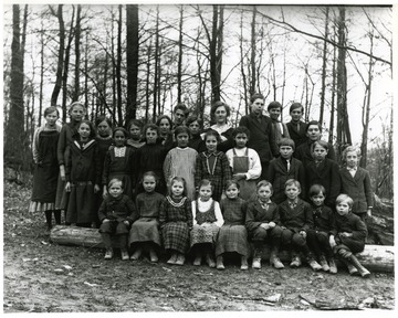 Information with the image included, "Virginia Burky: 3-4 row 2 R Elmer and Herman, #1 back row R Jim Betler? Nellie Been teacher middle back row, George Betler in front of Jim maybe, Alma Betler Burky third form teacher on left."