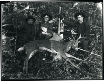 Three men pose with a buck they have killed.