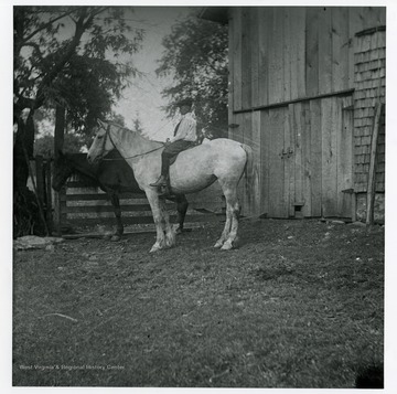 A boy is sitting on a white horse which is standing by another horse in a barnyard.
