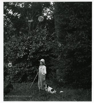 Herbert Stadler is holding a stick and standing with two dogs in a field by a tree in Helvetia, West Virginia.