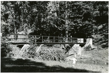 A child walks across a new bridge going across a stream at Ritter Park.