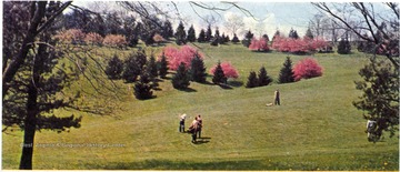 'The scene is Wheeling's Oglebay Park, recognized as one of the most modern municipal parks in the United States.'